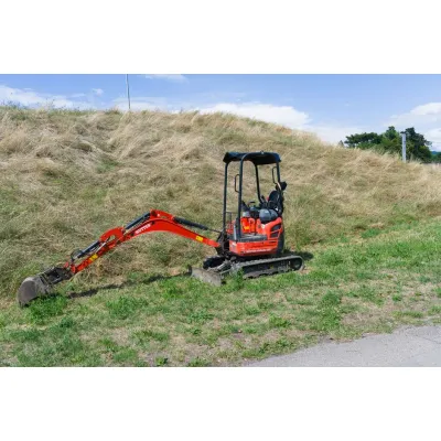 Large Floor Plant Rental